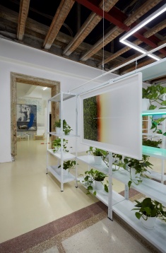 „Touch Nature” & be touched by our words | tur ghidat 2.0 @ /SAC Bucharest