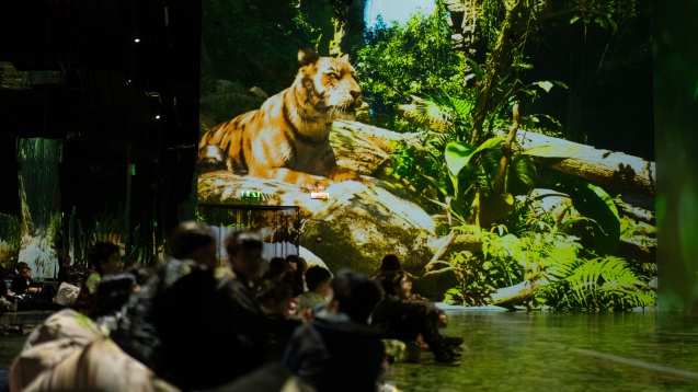 PLANETA ANIMALELOR – Jungla @MINA