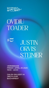 Ovidiu Toader & Justin Orvis Steimer @Galeria Catinca Tabacaru 