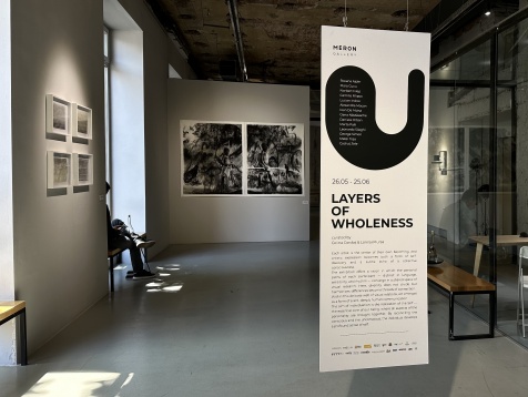 Arta întâlnește designul: merongallery.ro conectează artiști contemporani cu proiecte de amenajare