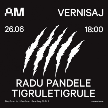 Solo-show Radu Pandele: Tigruletigrule, la ARSMONITOR