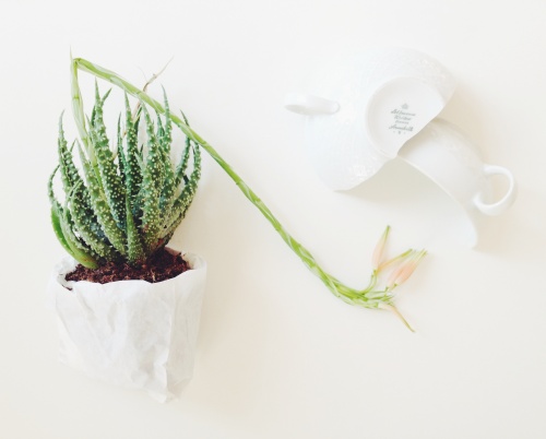 Definiții pentru lifestyle design cu Ileana Sebe, Zwei