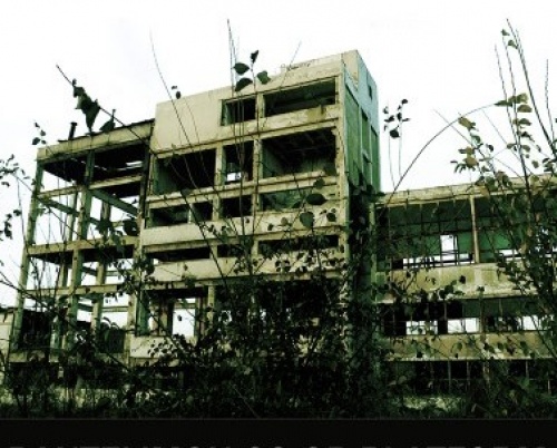 Răzvan Paul Tivu // Pantelimon co-operational platform