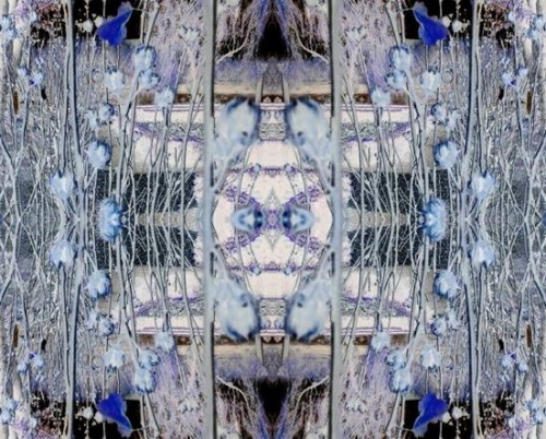 Aurora Melinte // Portal