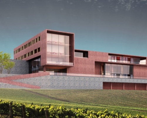 Vasile George Valeriu // Centru viticol