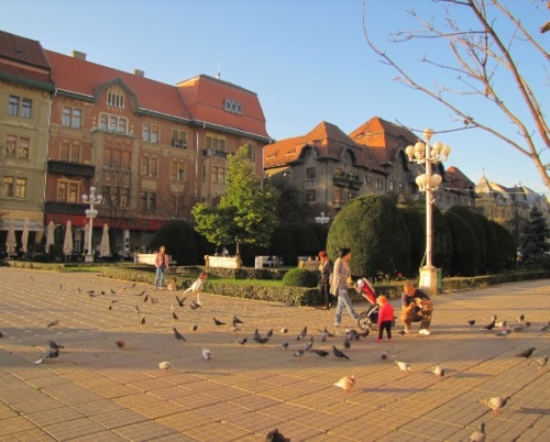 Pe 30 ianuarie, în Timișoara!