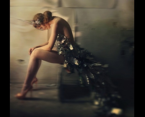 Laura Smarandache // Ironic Feathers