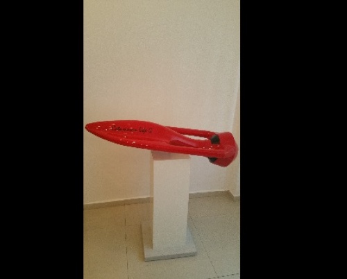 Constantin Rotaru  // Sistem salvare de la înec