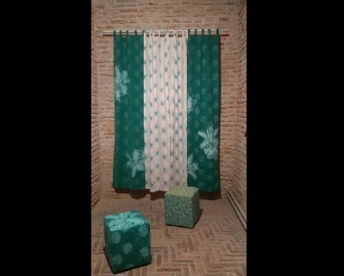 Alina Mădălina Păruș // Amprenta Vegetalului