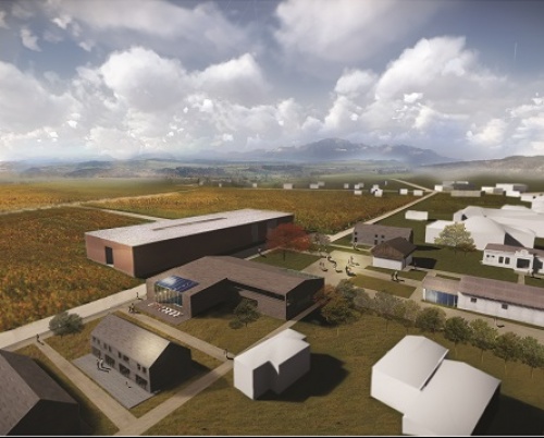 Delia Prisecaru // Centru enologic și vinoterapeutic Jariștea