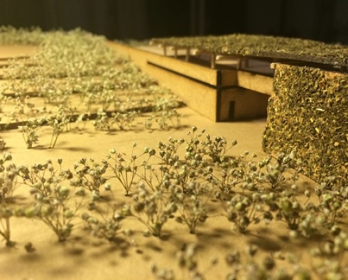 Ion Radu Mihnea // Vinărie și pensiune