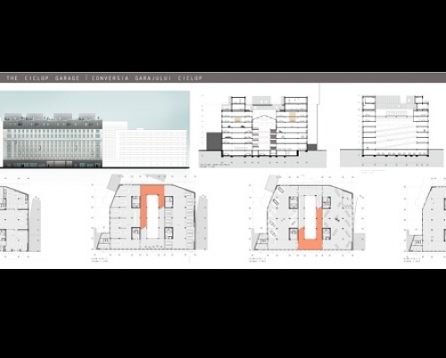Diana Trif // Conversia garajului Ciclop
