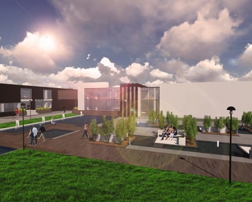 Irina Dron // Complex de agrement