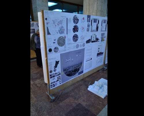 Oana Țuțu  // Locuințe de tip familial pentru copii abandonați