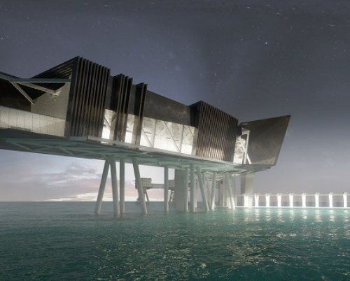 Iulia Niculae // „Red Sands” Scientific Platform