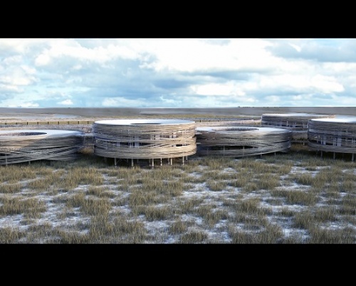 Rodica Pătru // Wildlife Center 