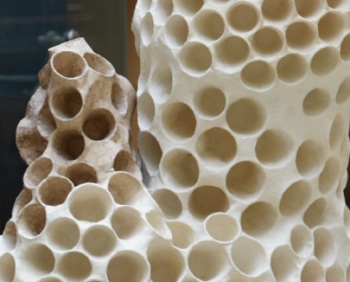 Alexandru Schibinschii // Organizare socială avansată și tezaurizare 