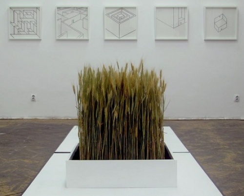 Bogdan Topîrceanu  // Oglinda interioară