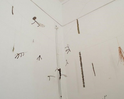 Emanuela Voinescu // Grădina 