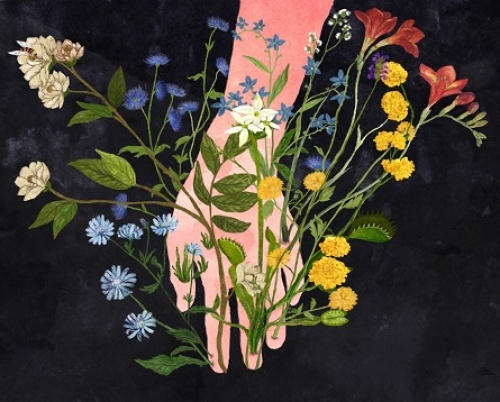 Luminița Dumitrache // The Garden