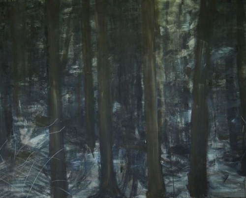 Mihaela Gogu // Păduri, aici și acolo