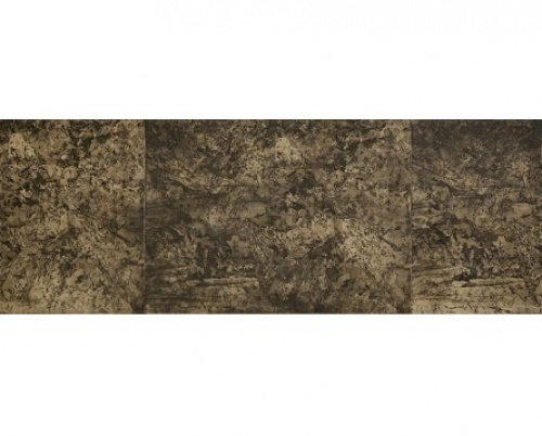 Rodica Ciobanu // Stări