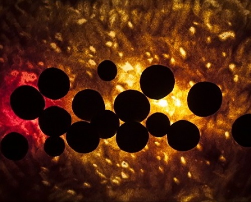 Simona Dimache // Dinamică Virtuală