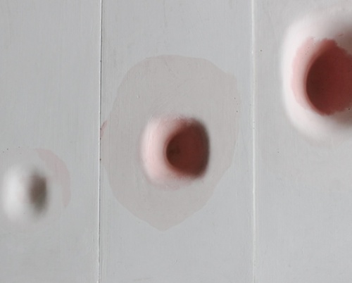 Stardust și Zwei la DDW