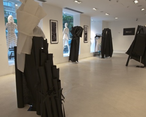 Ladies in waiting. A solo show of Carmen Secareanu