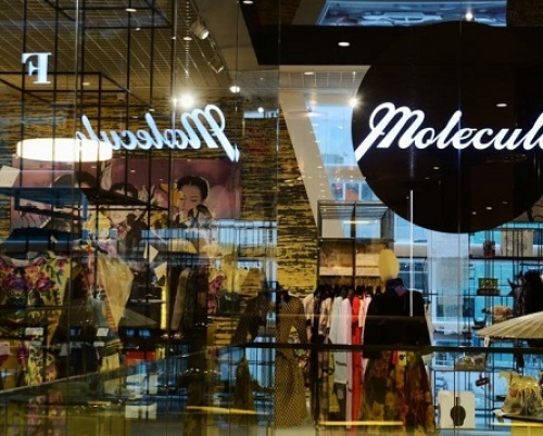  MOLECULE F // Introducing Steff Chelaru 