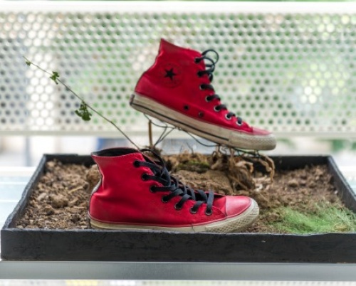 CREATIVITY LIGHTS UP YOUR SOUL @RDW2016