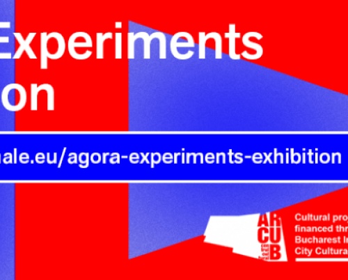 Despre instalații de artă și arhitectură în folosul comunității la Agora Experiments