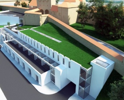 Alexandru Petrișor // Muzeul de istorie Sighișoara