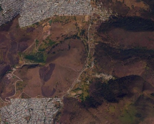 Alina Novac // Megaorașul ca ecosistem 