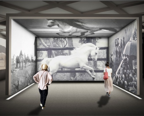 Andreea Moise // Revitalizare Marghiloman 