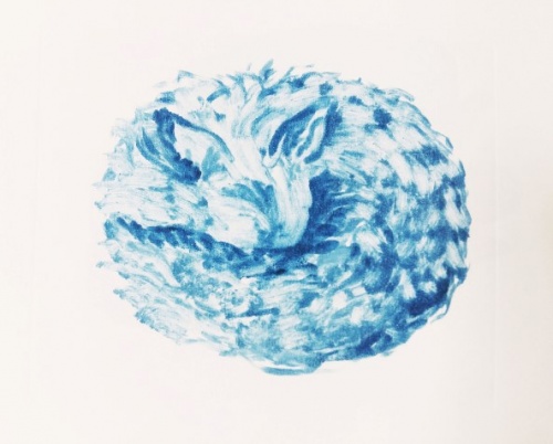 Doinița Alexandra Dragomir // Somnifer