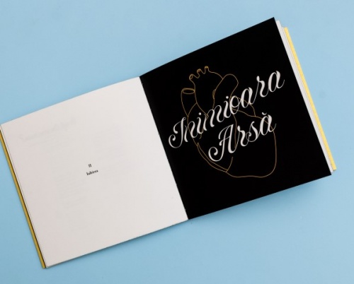 Eduard Felegeanu // Dicta Ando Manta 