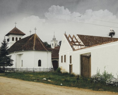 Ileana Roxana Dan // Școala de privit acasă 