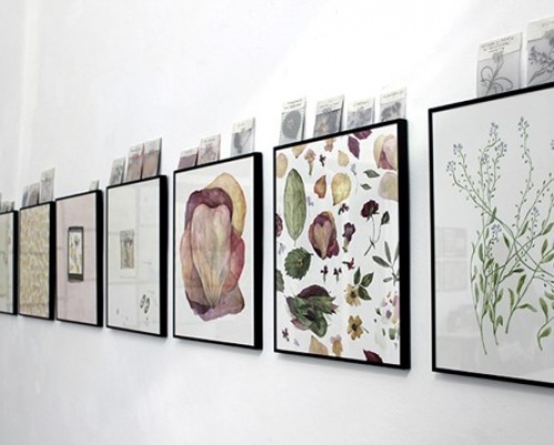 Emanuela Balint // Fals ierbar 