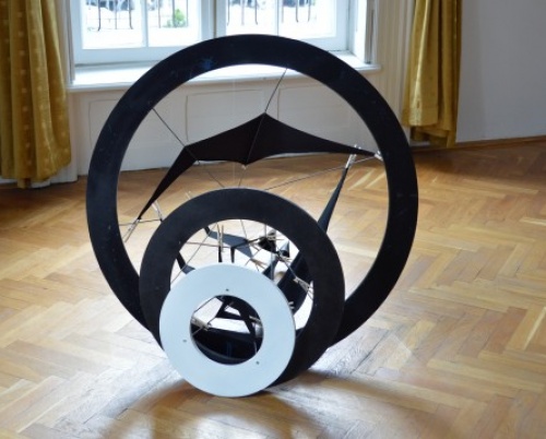 Ionuț Ștefan // Investigări naturale