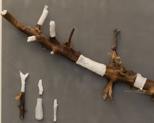 Ștefan Szabo // Rădăcini 