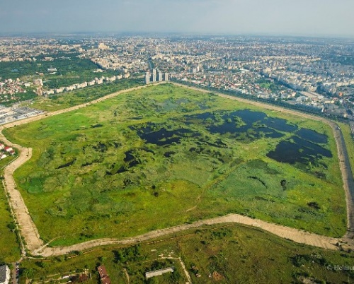 O viziune pentru dezvoltarea parcului natural Văcărești 