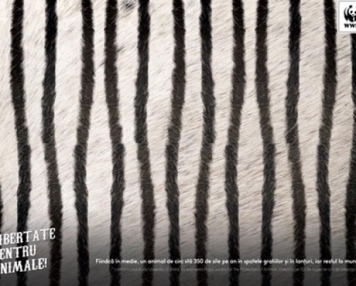 TOP 3 ADC*RO // IANUARIE 2017