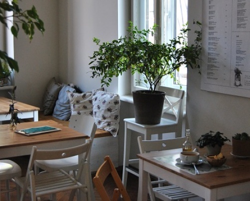 Therapy Bistro // Filmikon la Therapy 