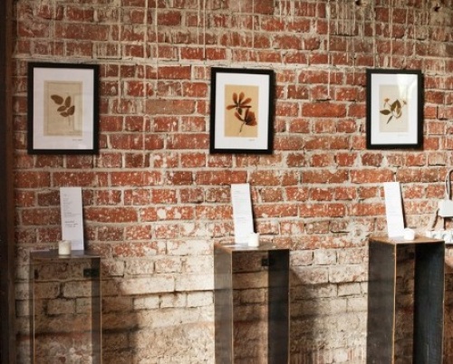 Poteca Studio & Alina Turdean // FOLIAGE