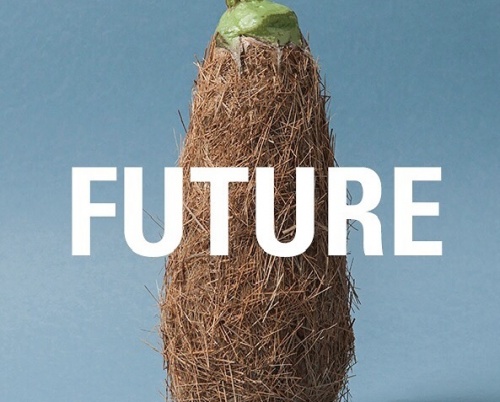 Înscrieri deschise pentru premiile Future Food Design 