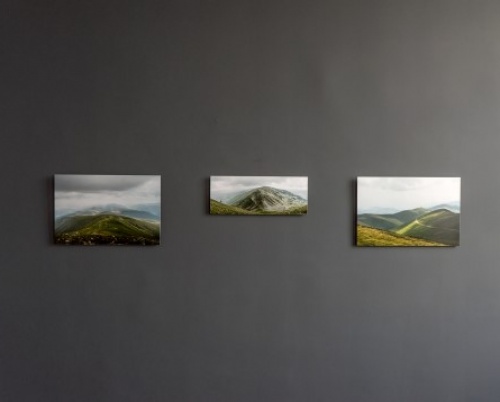 Andrei Nedelcu // Peren