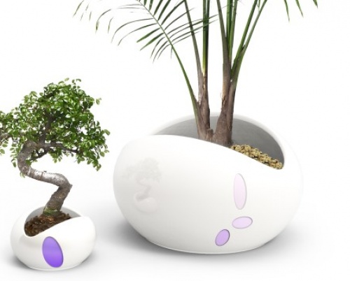 Ioana Anghelescu // Green Vibes - ghivece inteligente cu feedback 