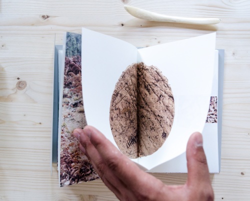 Mihai Popescu // Expediția