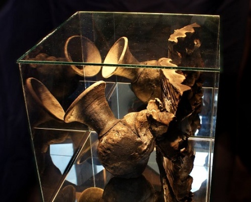 Marius Stanciu // Ceramică Experimentală